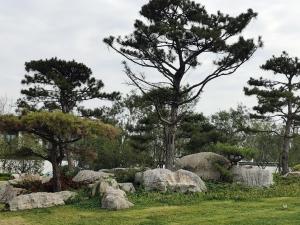 草坪点缀石案例 