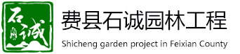 费县草莓视频污18园林工程有限公司