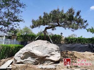 庭院摆放草莓视频APP污版有什么讲究